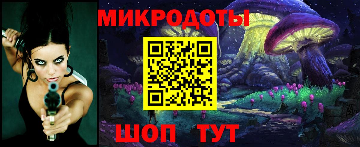Галлюциногенные грибы Psilocybe Лениногорск