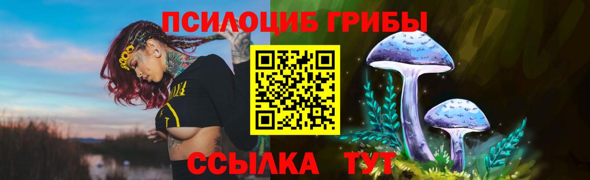 Лениногорск  Псилоцибиновые грибы Magic Shrooms  Вход с VPN 